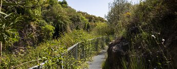 Wanderung auf dem Wasserkanal zwischen Árchez und Canillas de Albaida