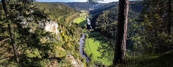 Aussicht vom Knopfmacherfelsen über das Durchbruchstal der Donau mit Bahnlinie, Flusslauf und bewaldeten Steilhängen