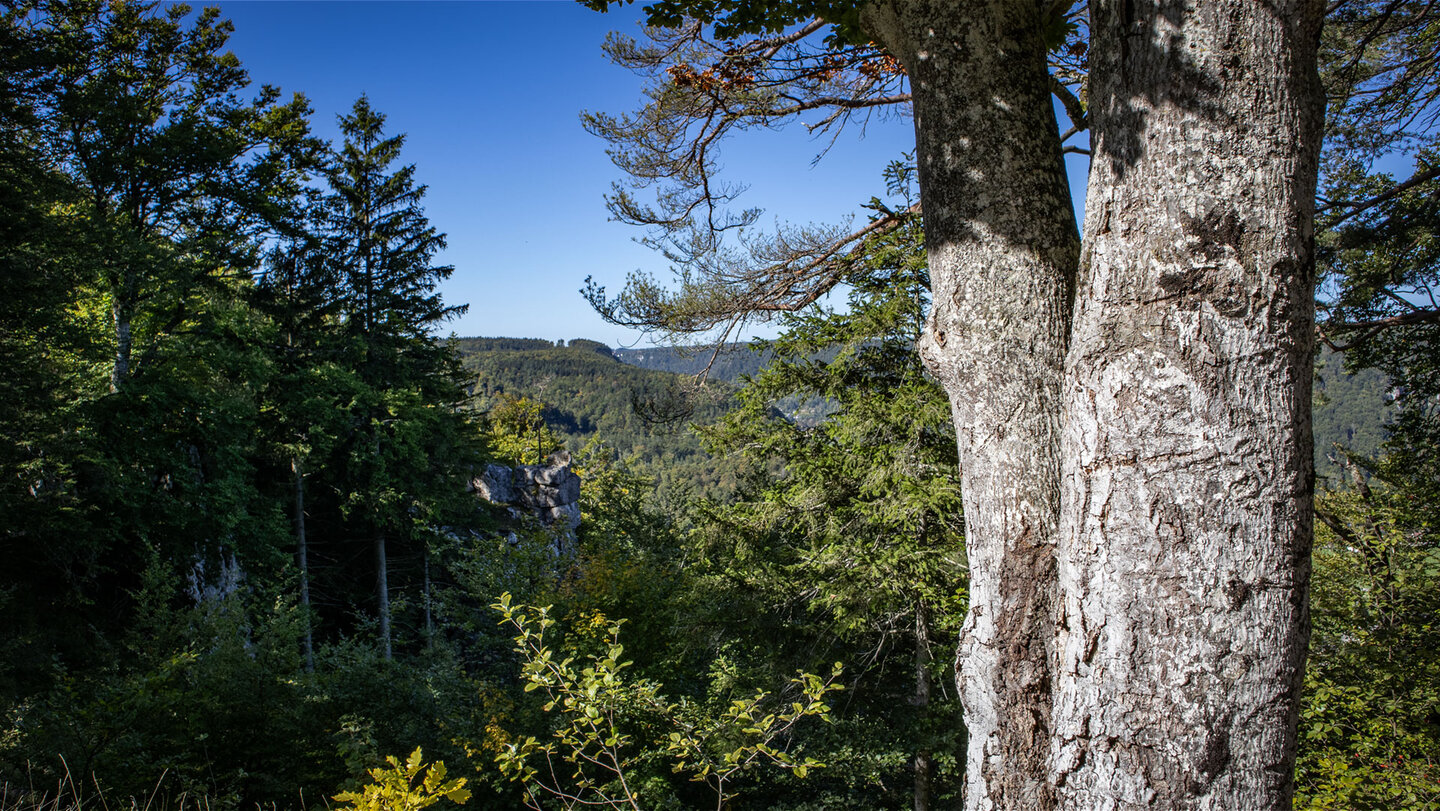Ausblick bei der Stettener Schutzhütte