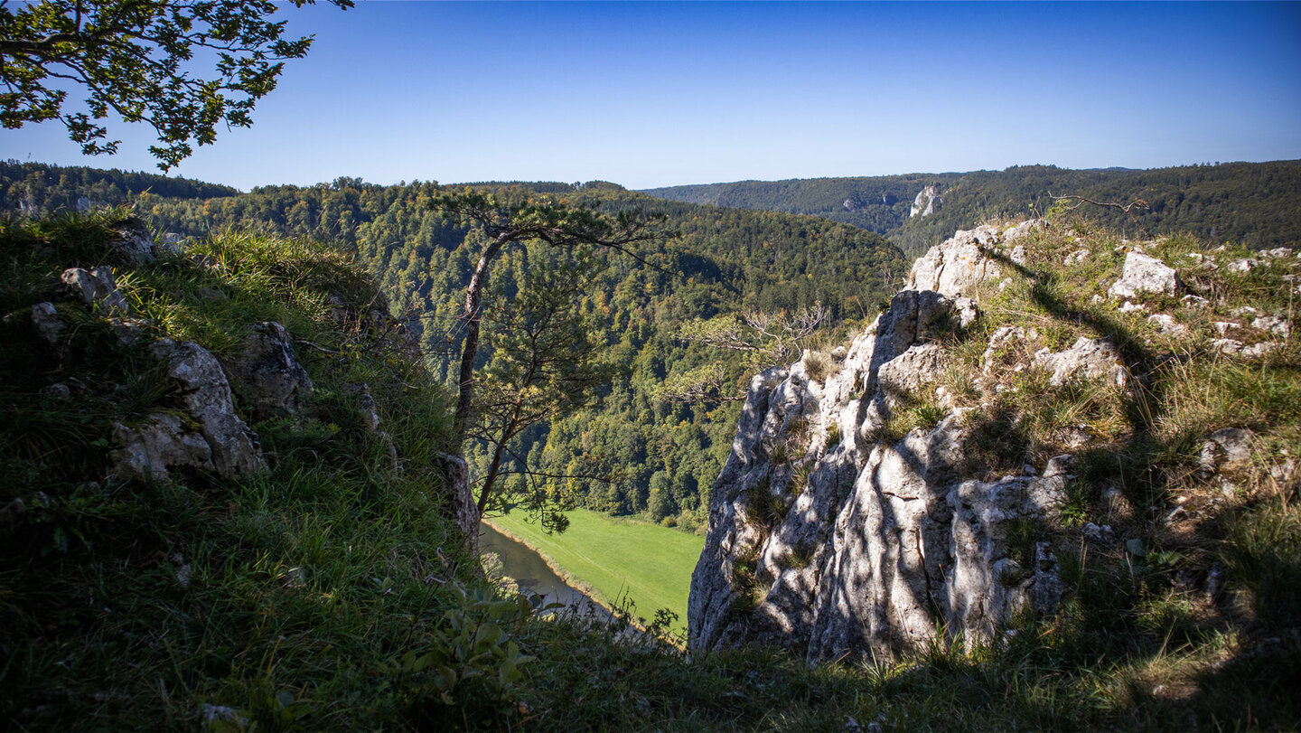 Panoramaweg mit Donau-Blick