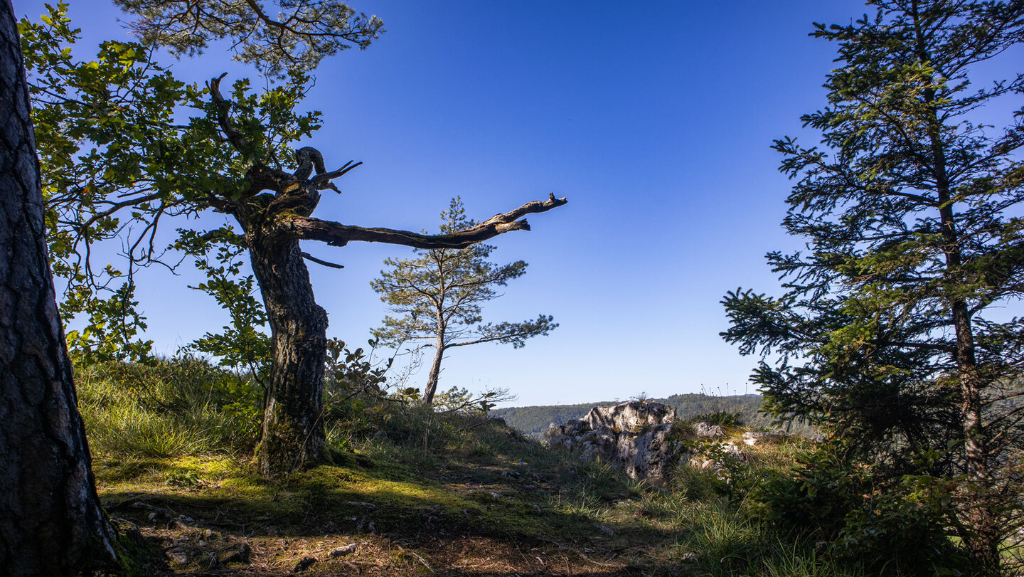 Wanderweg durchs Schaufelsengebiet