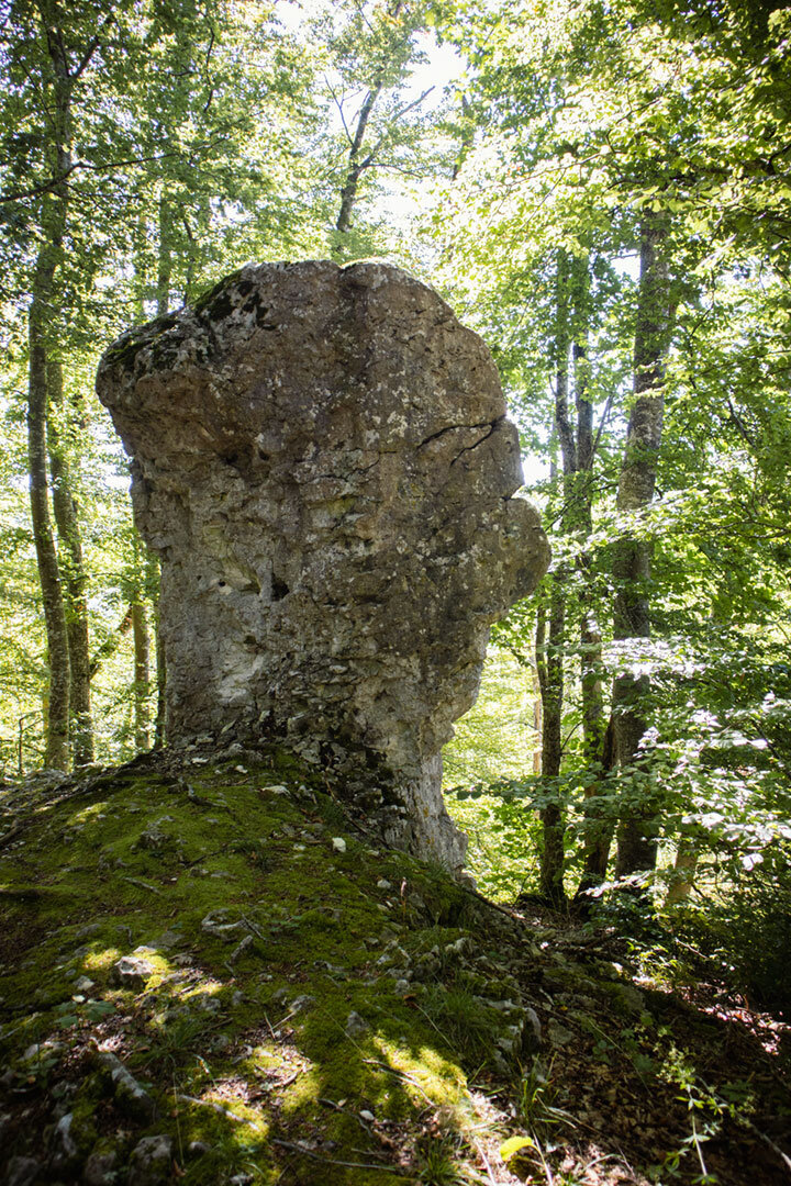 Muschelkalkformation am Wanderweg