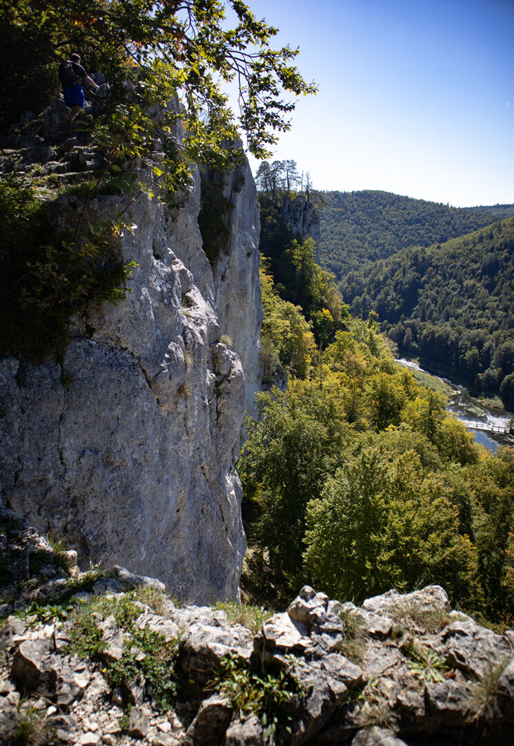 Falkenwand über dem Donautal bei Neumühle