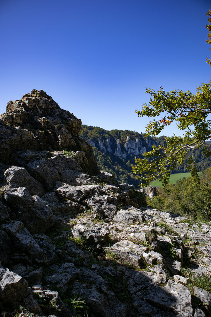 Aussichtspunkt über der Falkenwand