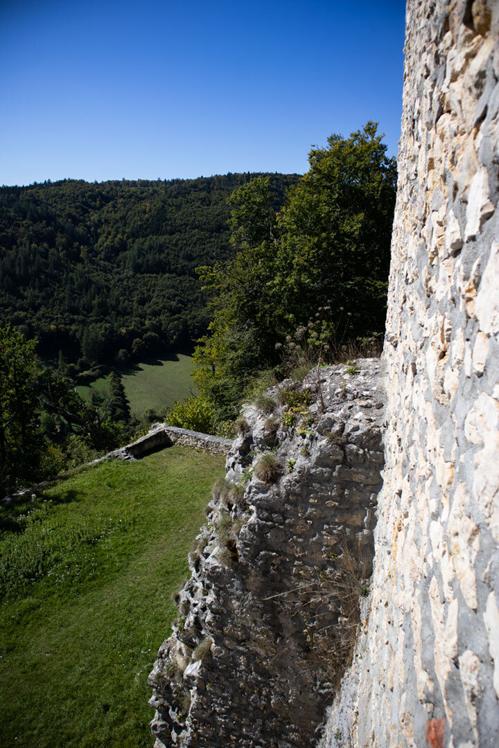 Blick über die Ruine Falkenstein ins Donautal