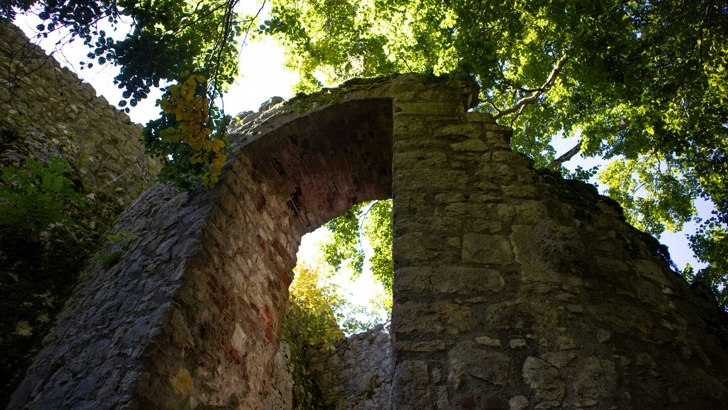 Nordturm der Ruine Falkenstein