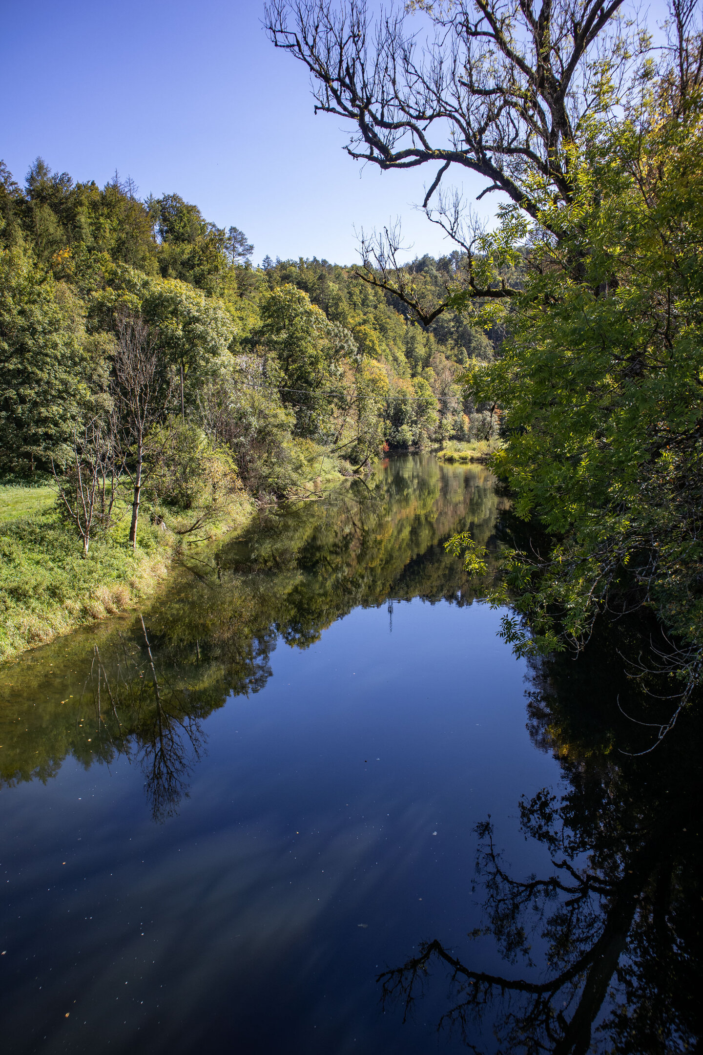die Donau bei Thiergarten