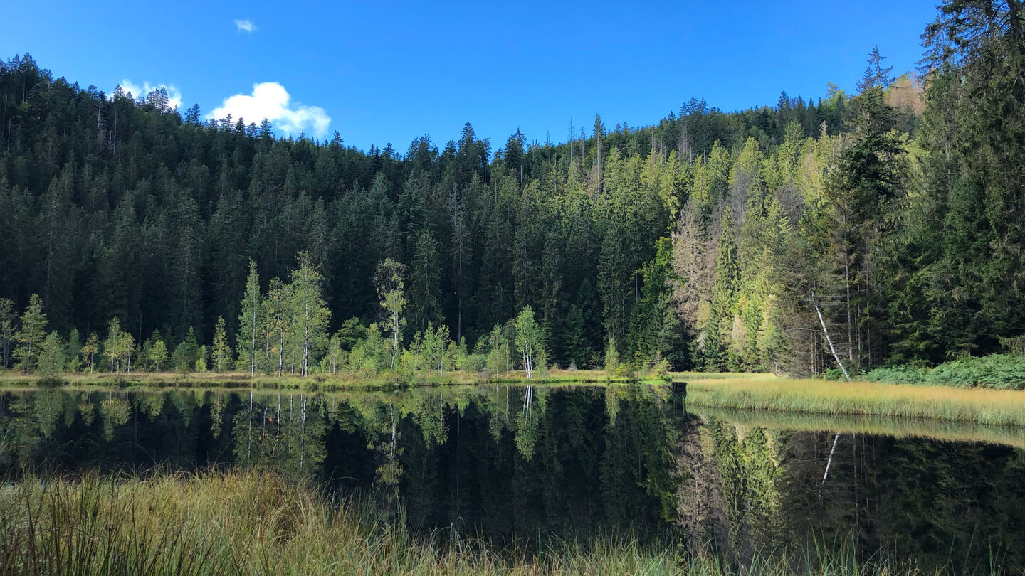 der Ausblick über den Buhlbachsee ist ein Highlight der 2. Etappe des Seensteigs