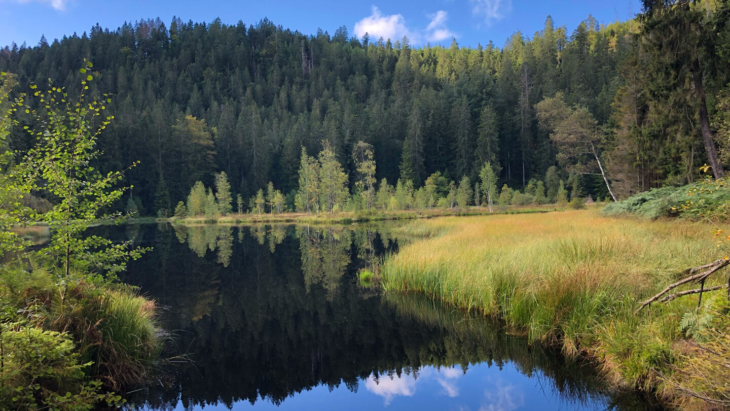 der Buhlbachsee ist einer der Karseen im Nordschwarzwald