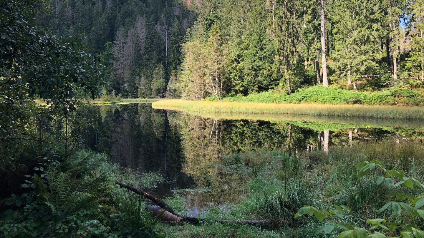 Spiegelung im ruhigen Gewässer des Buhlbachsees