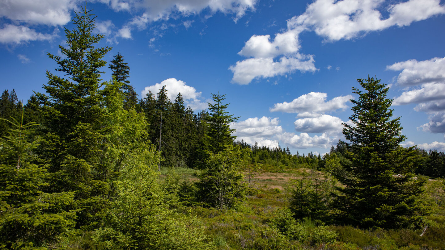 Landschaft entlang des Lotharpfads