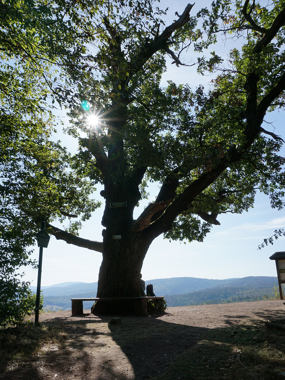 Rastplatz am Großen Drachenstein mit Panorama