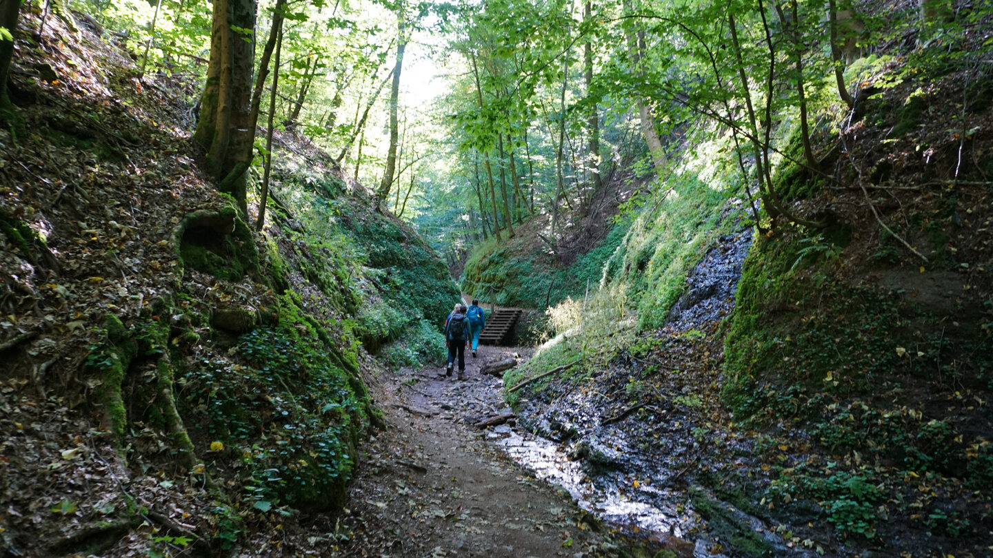 Wandern durch die Landgrafenschlucht