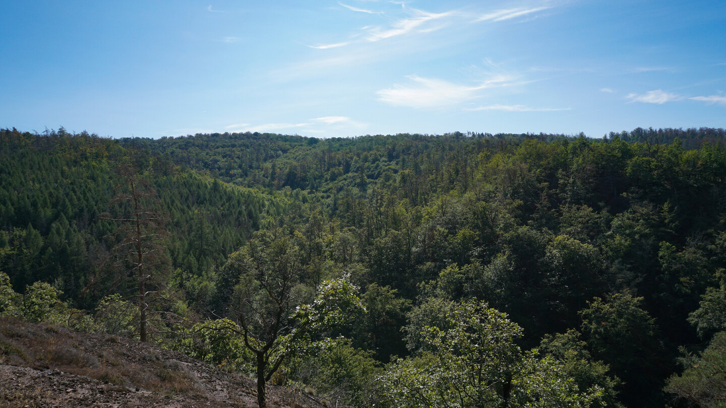 Großen Drachenstein mit seinen geheimnisvollen Waldschluchten