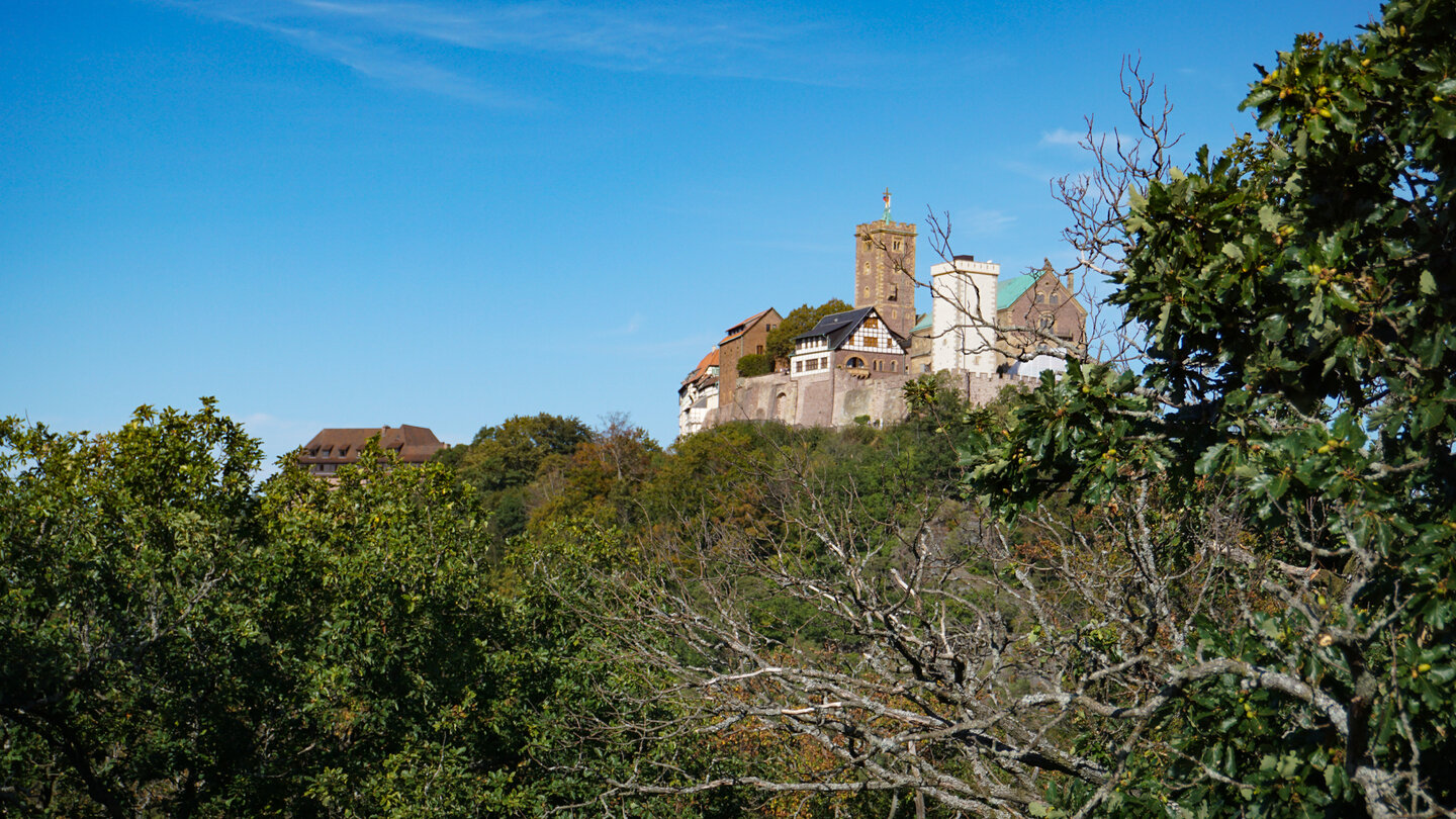 Aussicht auf die Wartburg