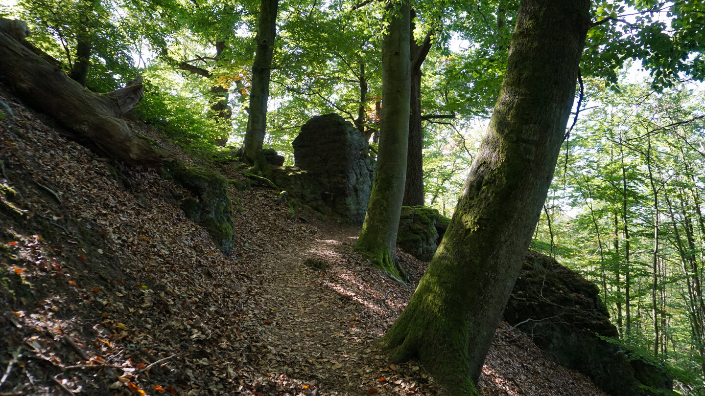Wanderweg mit Felsen
