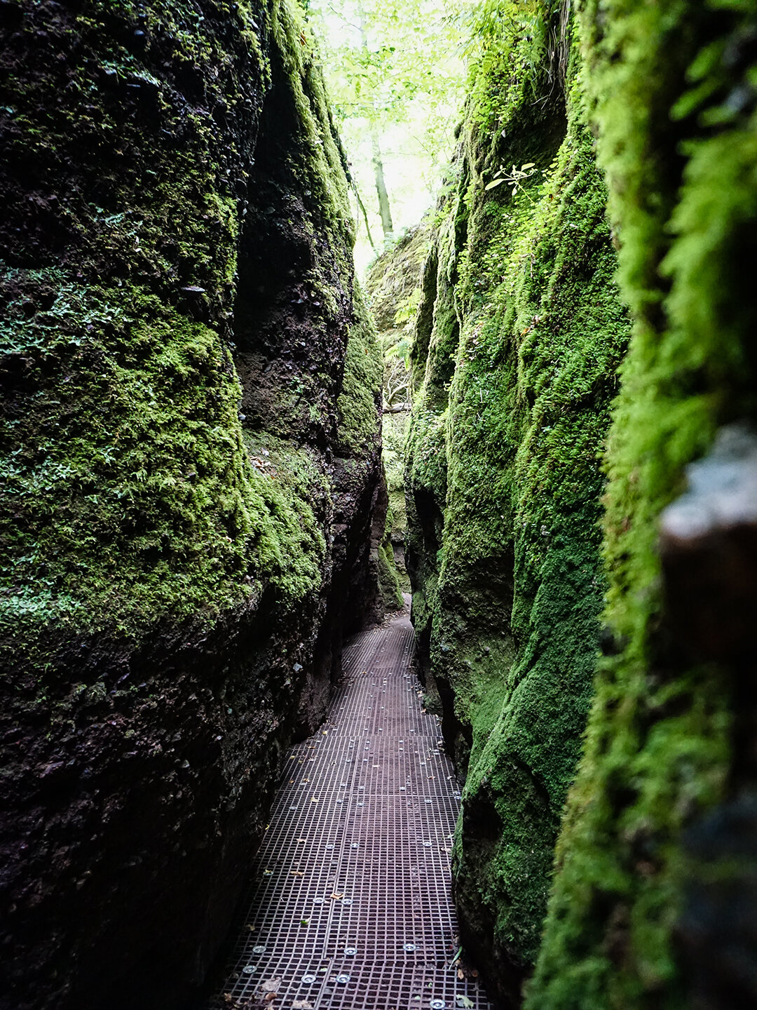mit Moos bewachsene Felsen der Drachenschlucht