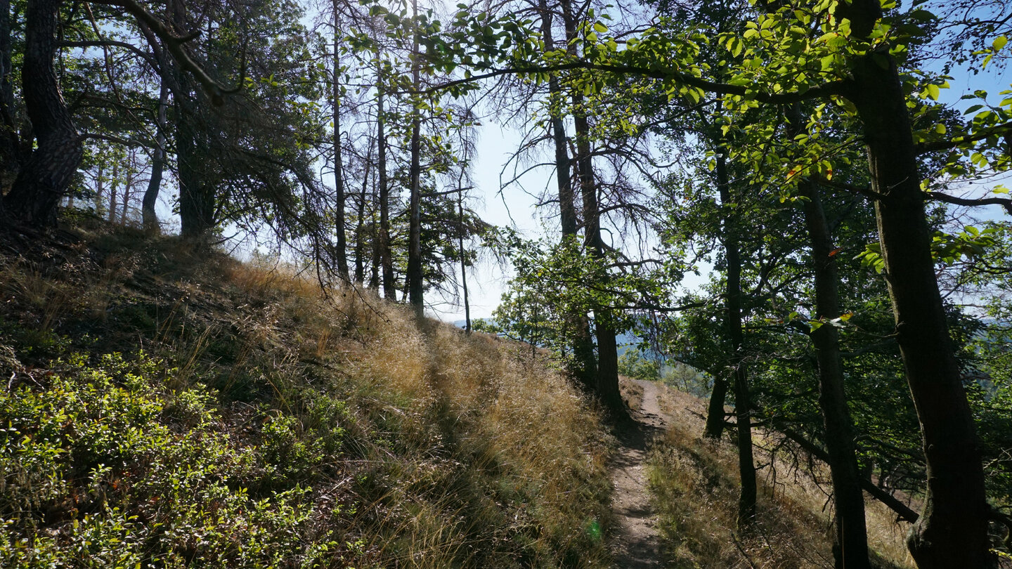 Auf dem Pfad zum Großen Drachenstein