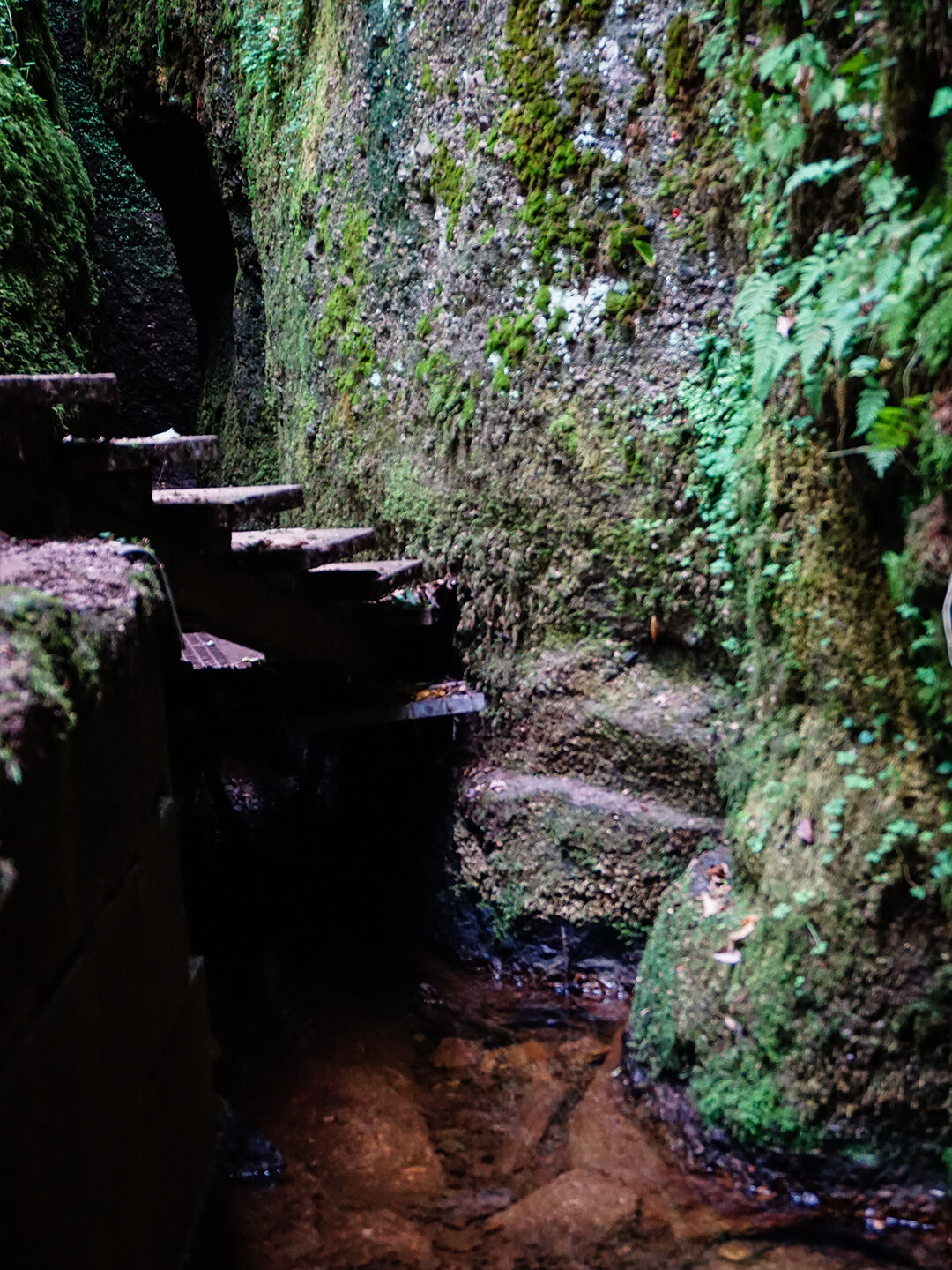 Wasserlauf in der Drachenschlucht