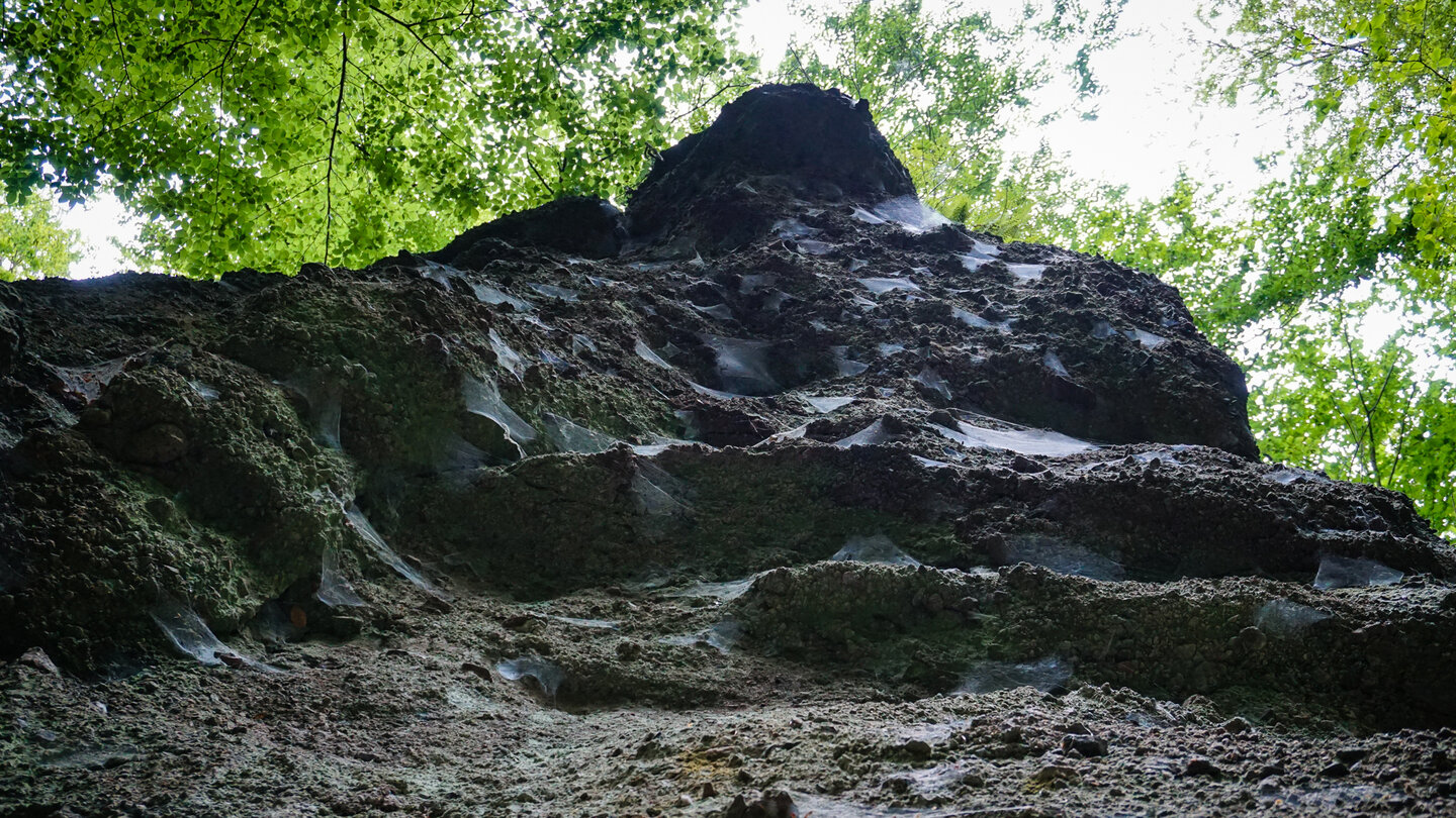 Spinnennetze auf dem Felsen