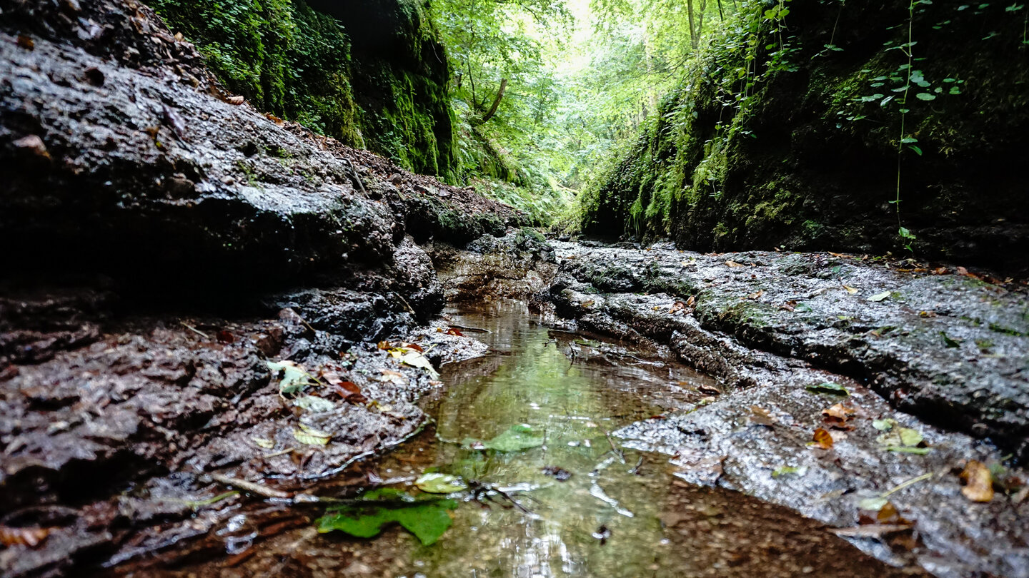 Wasserlauf in der Landgrafenschlucht