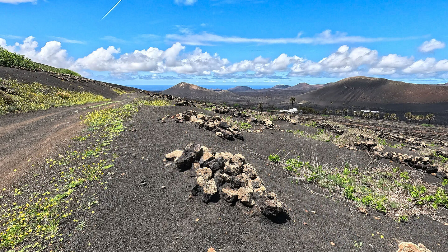 Wanderweg im Weinbaugebiet La Geria auf Lanzarote