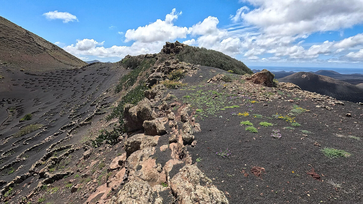 Wanderpfad um Krater des Montaña Guardilama