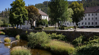 Blick auf den Flusslauf der Alb in St. Blasien