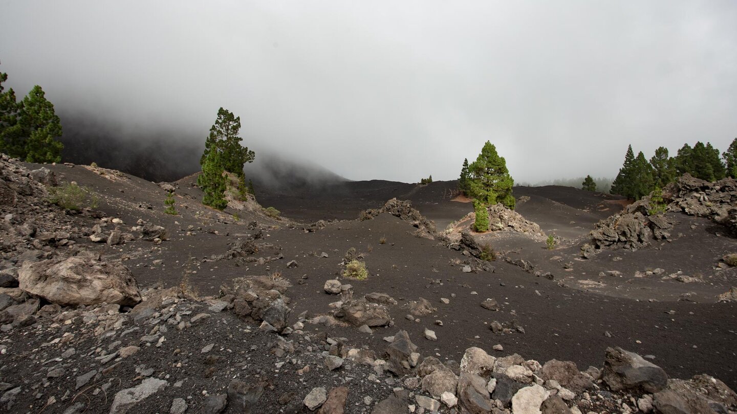 Vulkanfelder entlang der Rundwanderung am Montaña Negra
