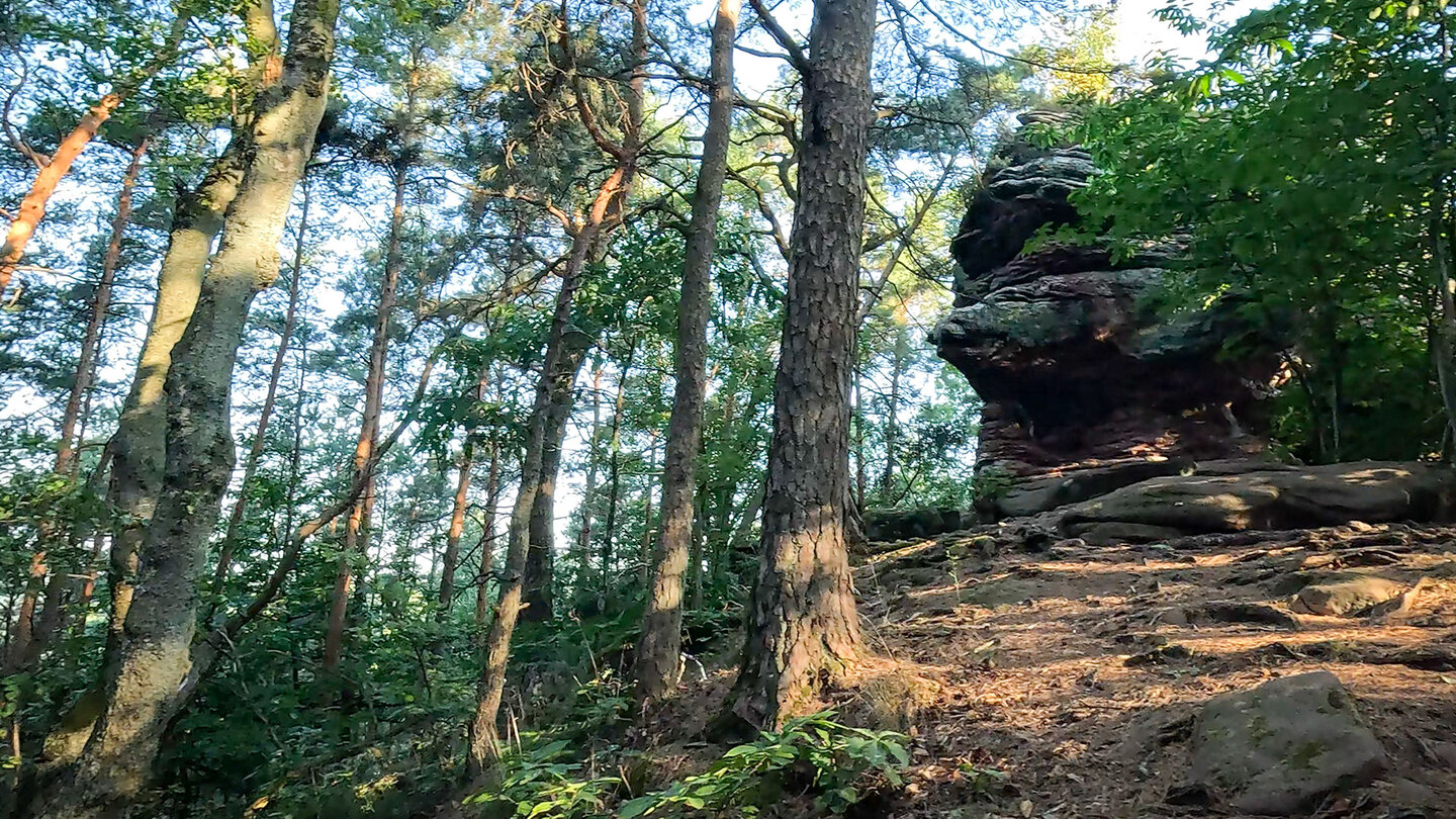 Wanderweg zum Falkenstein bei Dimbach im Pfälzerwald Wanderweg zum Falkenstein bei Dimbach im Pfälzerwald