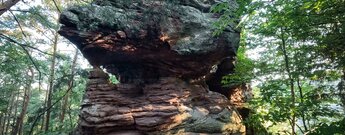 Falkenstein am Dimbacher Buntsandstein Höhenweg