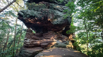 Falkenstein am Dimbacher Buntsandstein Höhenweg