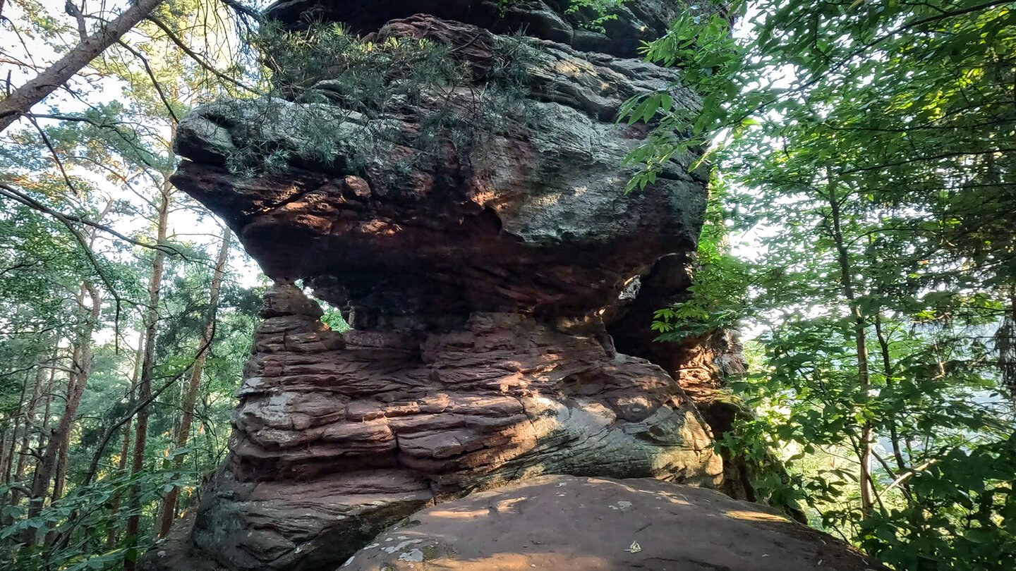 der Falkenstein am Dimbacher Buntsandstein Höhenweg Falkenstein am Dimbacher Buntsandstein Höhenweg