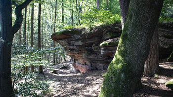 Felsformation Kleiner Ferkelstein im Pfälzerwald