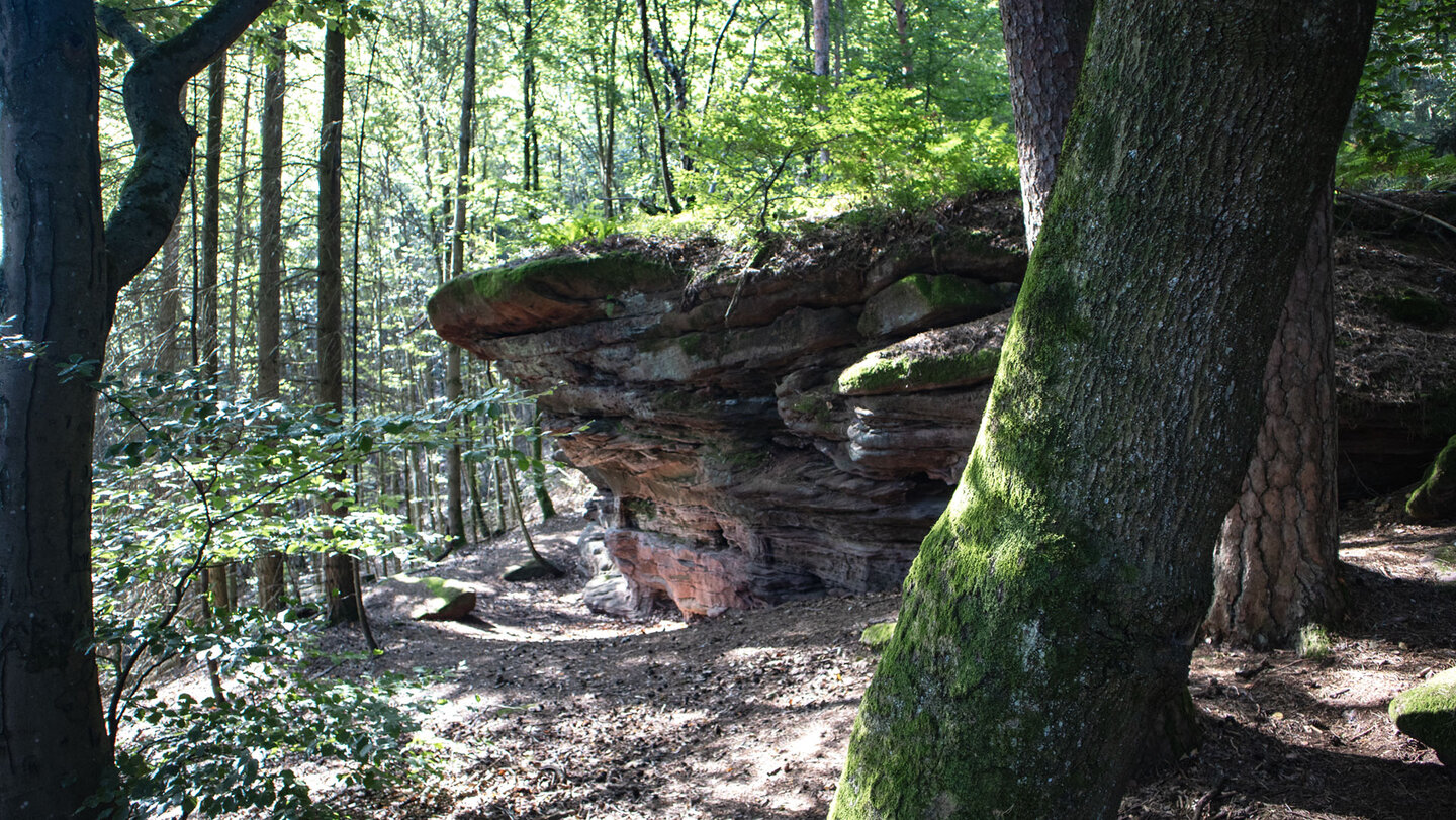 Felsformation Kleiner Ferkelstein im Pfälzerwald Felsformation Kleiner Ferkelstein im Pfälzerwald