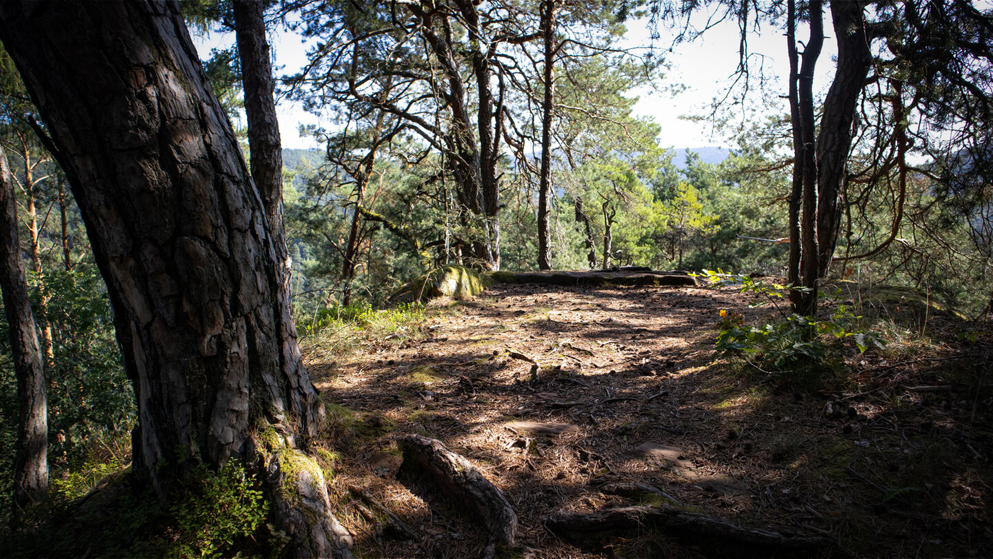 Wanderpfad auf den Buntsandsteinfelsen des Großen Ferkelstein Wanderpfad auf den Buntsandsteinfelsen des Großen Ferkelstein