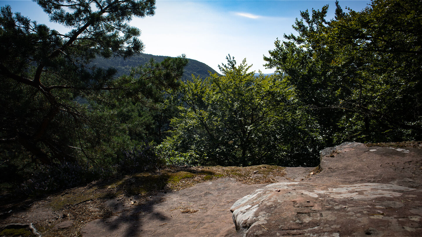 Ausblick vom Felsplateau des Großen Ferkelstein auf den Pfälzerwald Ausblick vom Großen Ferkelstein auf den Pfälzerwald