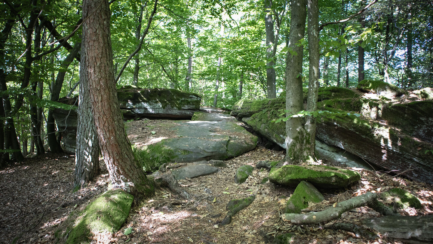 Wanderweg auf dem Höhenkamm bei Spirkelbach Wanderweg auf dem Höhenkamm bei Spirkelbach