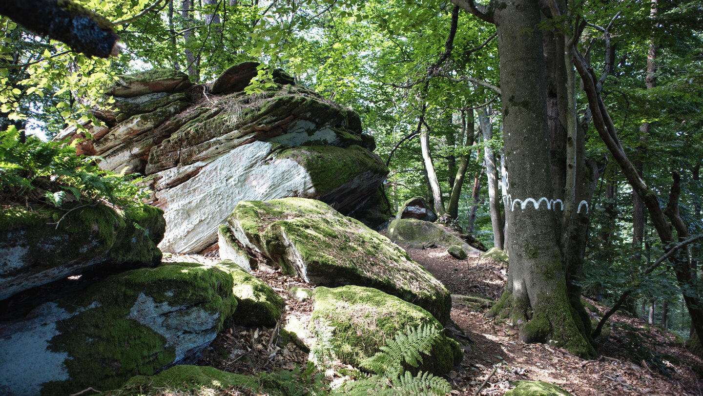 am 455 Meter hohen Klingel-Kopf am Klingel-Kopf