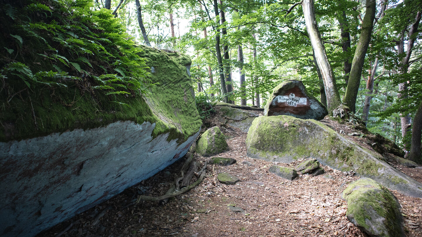 der Klingel-Kopf auf der Spirkelbacher Höllenberg-Tour der Klingel-Kopf auf der Spirkelbacher Höllenberg-Tour