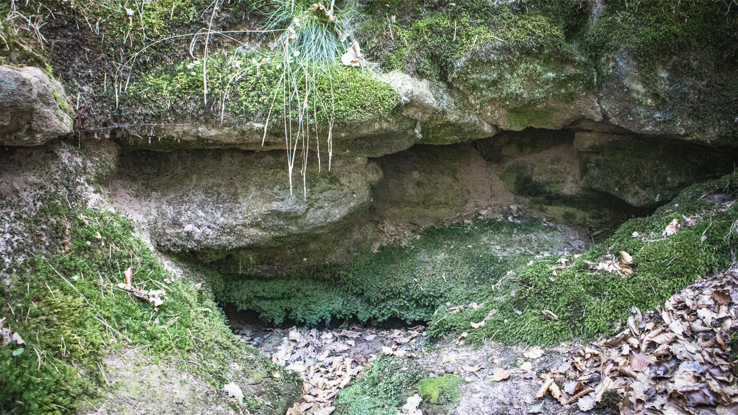 die trockengefallene Ochsenborn-Quelle Ochsenborn-Quelle