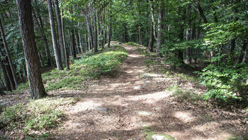 Wanderung auf dem Kamm des Höllenbergs