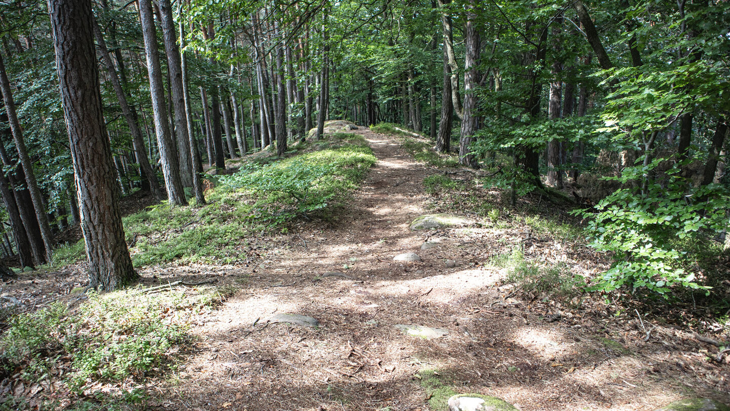 Wanderung auf dem Kamm des Höllenbergs Wanderung auf dem Kamm des Höllenbergs