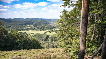Ausblick vom Höllenberg auf Hauenstein