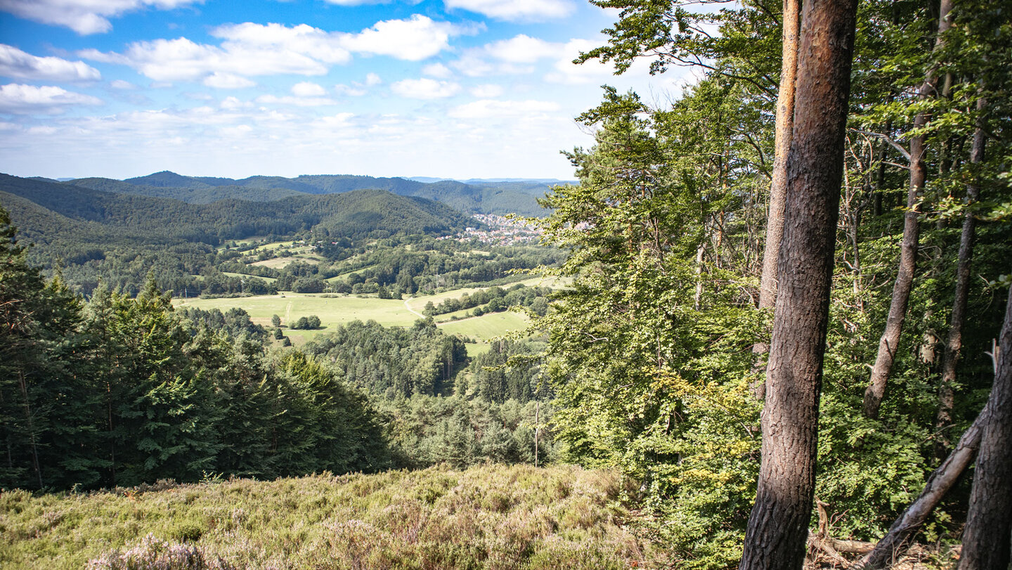 Ausblick vom Startplatz der Südpfälzer Gleitschirmflieger am Höllenberg auf Hauenstein Ausblick vom Höllenberg auf Hauenstein