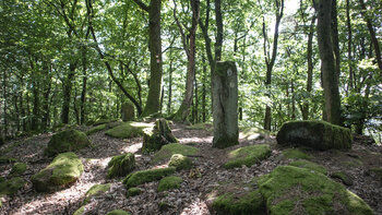 historischer Grenzstein am Höllenberg