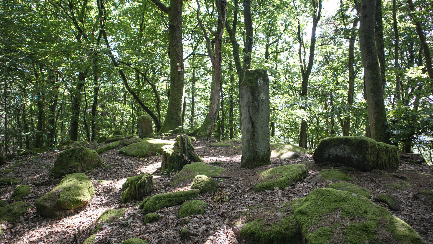 historischer Grenzstein auf dem Wanderweg am Höllenberg historischer Grenzstein am Höllenberg
