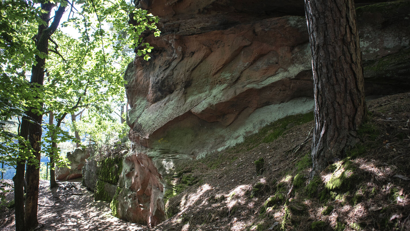 Felsformationen am Friedfrichsfels bei Lug Felsformationen am Friedfrichsfels bei Lug