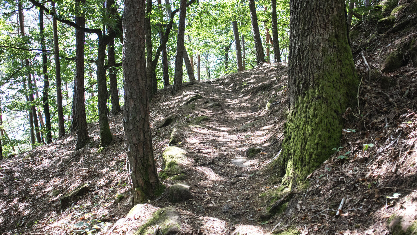 die Wanderroute zwischen Friedrichsfels und Höllenfelsen Wanderroute zwischen Friedrichsfels und Höllenfelsen