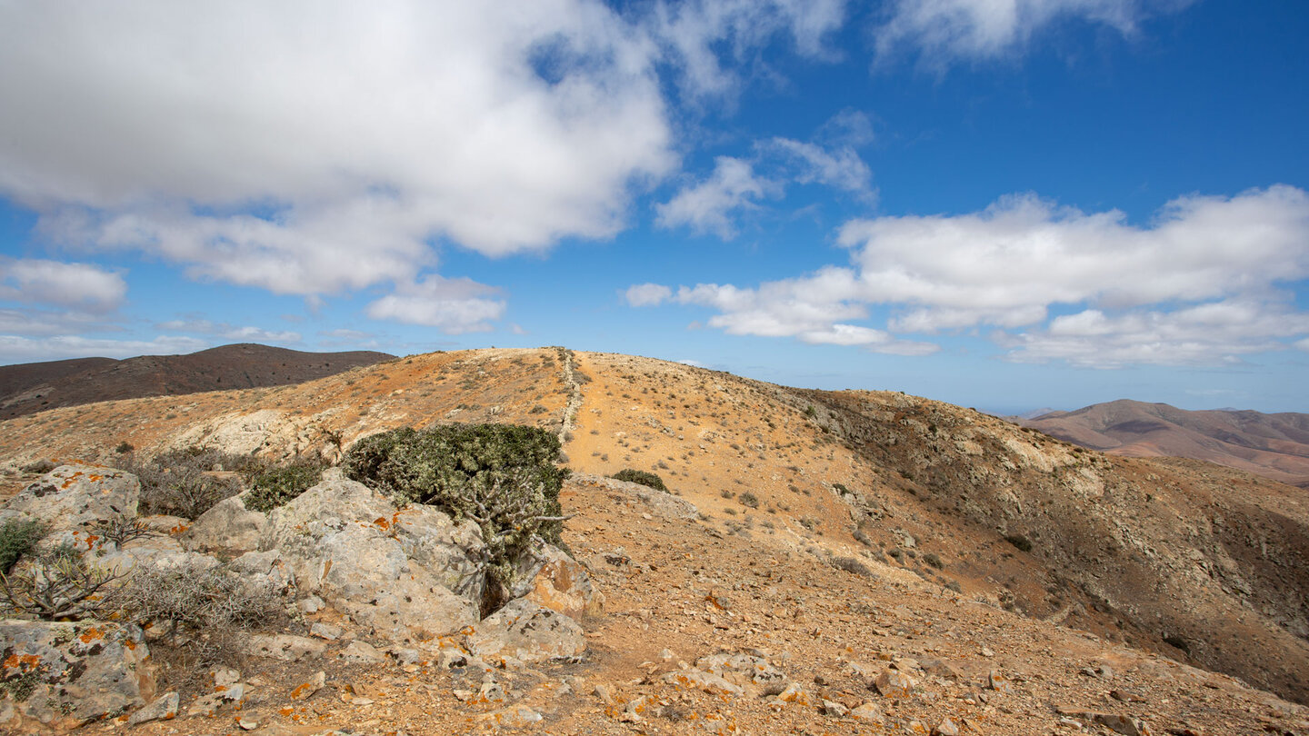 eine Steinmauer verläuft entlang des Bergrückens hinter dem Pico Lima